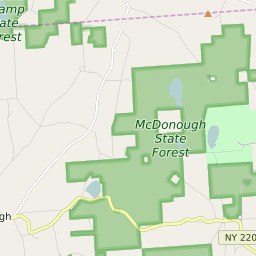 Mcdonough Zip Code Map Map Of All Zip Codes In Mcdonough, New York - Updated May 2022